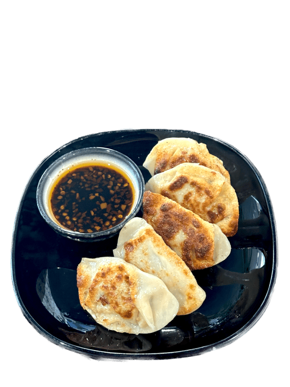 Pan Fry Pork and Chive Dumplings