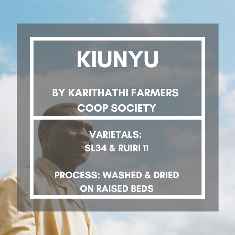 Kiunyu, Kenya - Retail