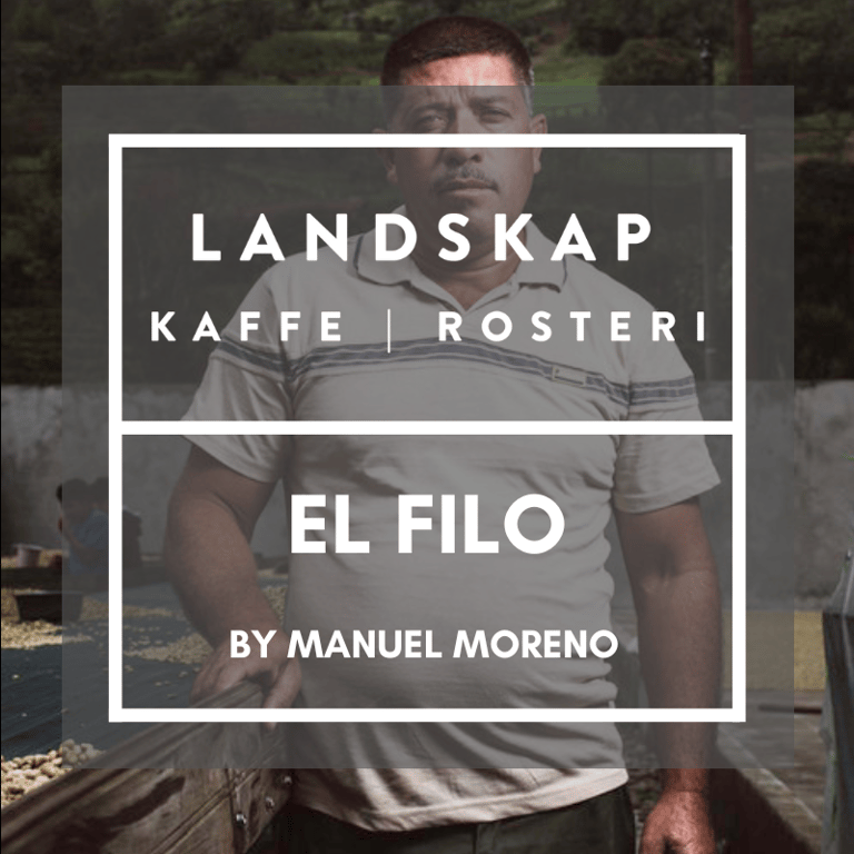 El Filo, Santa Barbara, Honduras - Retail