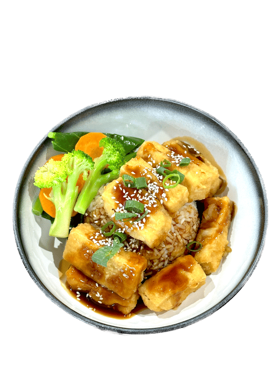 Teriyaki Tofu + Rice