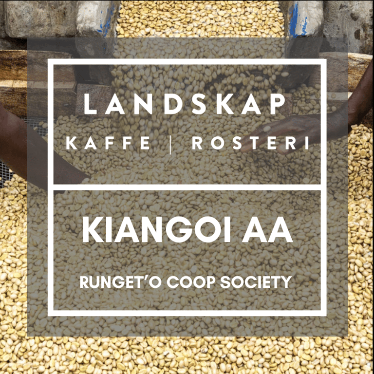 Kiangoi AA, Kirinyaga, Kenya - Retail