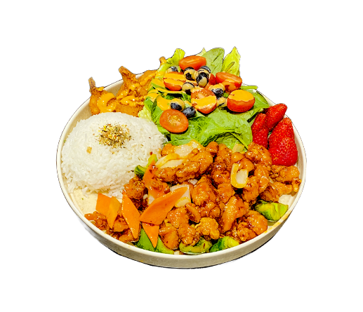 General Tao Chicken Plate 左宗鸡饭拼盘