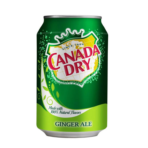 Canada Dry Can (330ml)