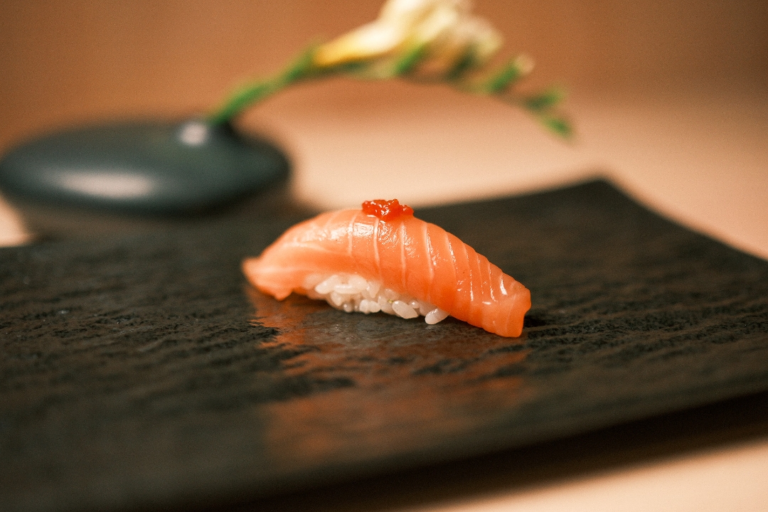 Salmon - Nigiri