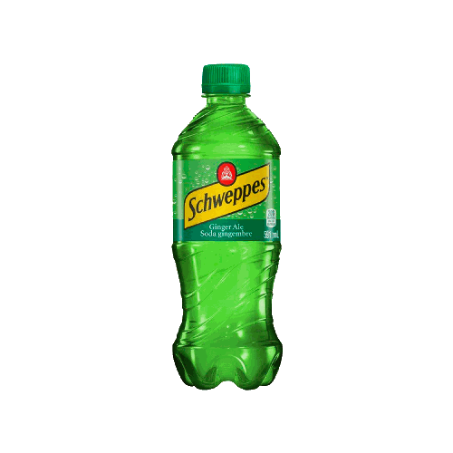 Ginger Ale - 591ml