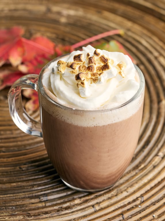 HOT CHOCOLATE W/TOASTED MARSHMALLOWS