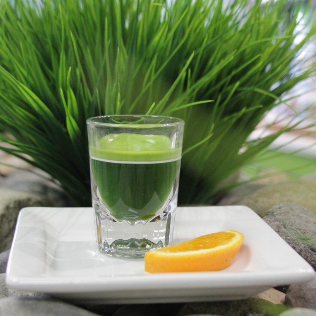 Wheatgrass Shot