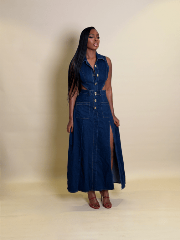 Olivia denim dress thumbnail 2