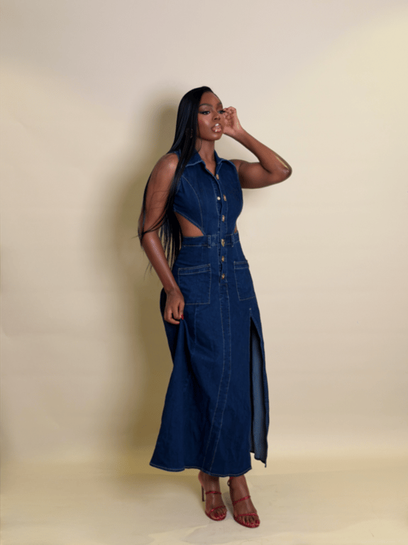 Olivia denim dress