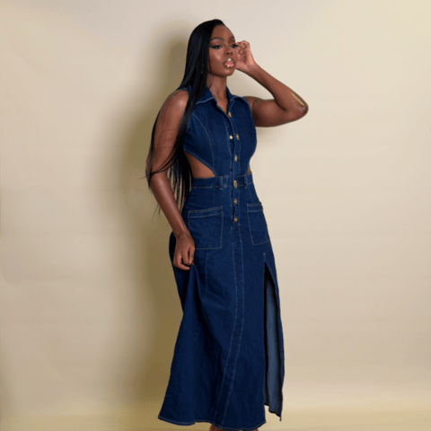 Olivia denim dress