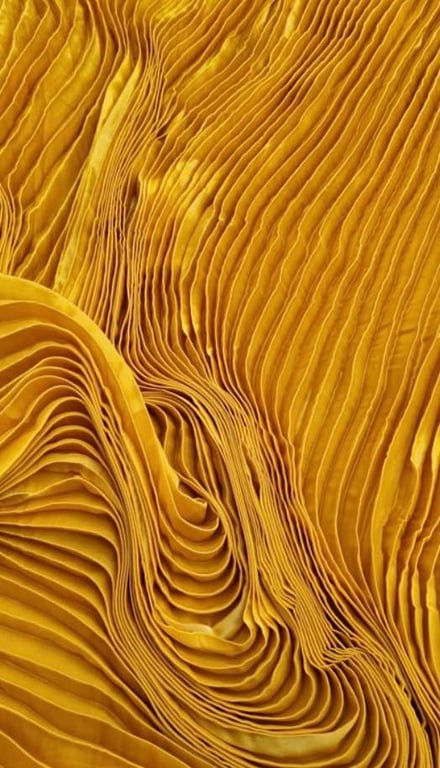 Organza Pleats