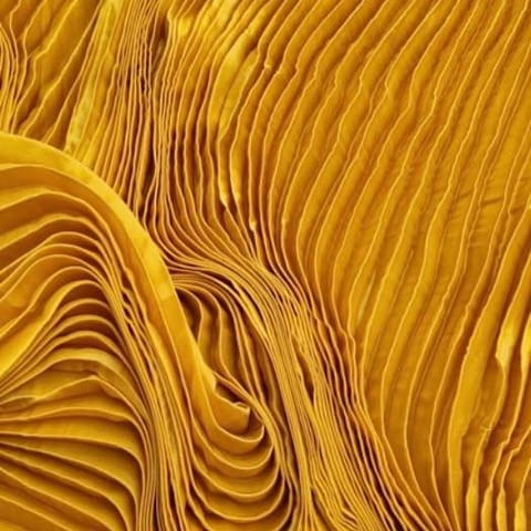 Organza Pleats