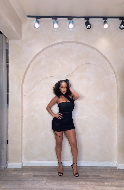 Chelley Mini Dress 3