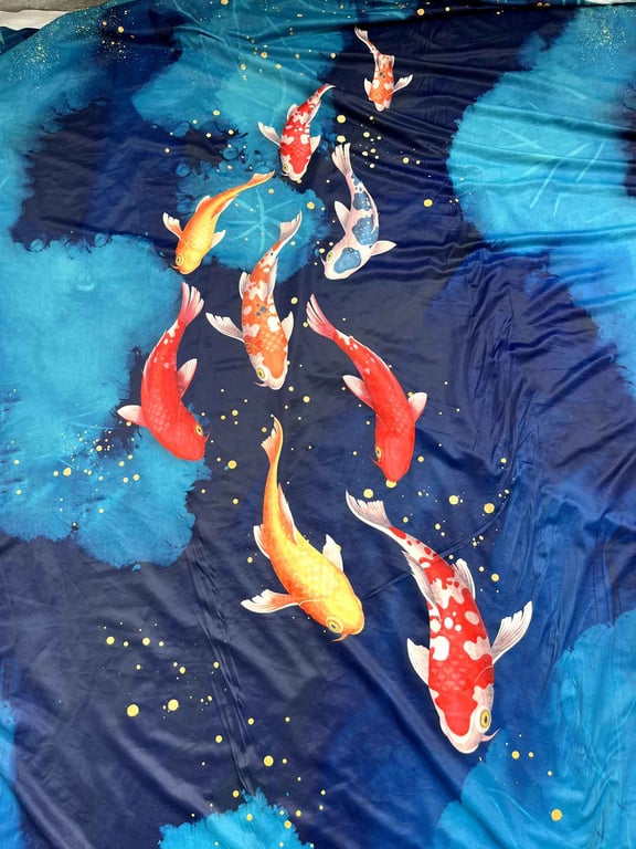 Midnight Koi