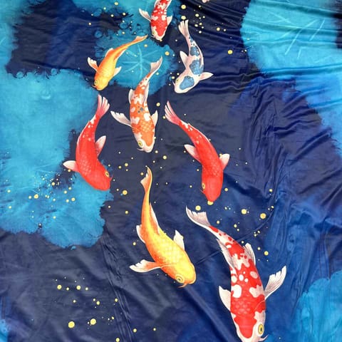 Midnight Koi