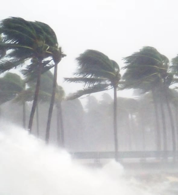 Tropical Storm / Storm Surge