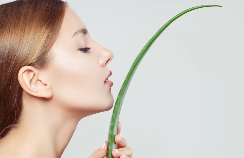 Aloe vera gel composition actifs vitamines