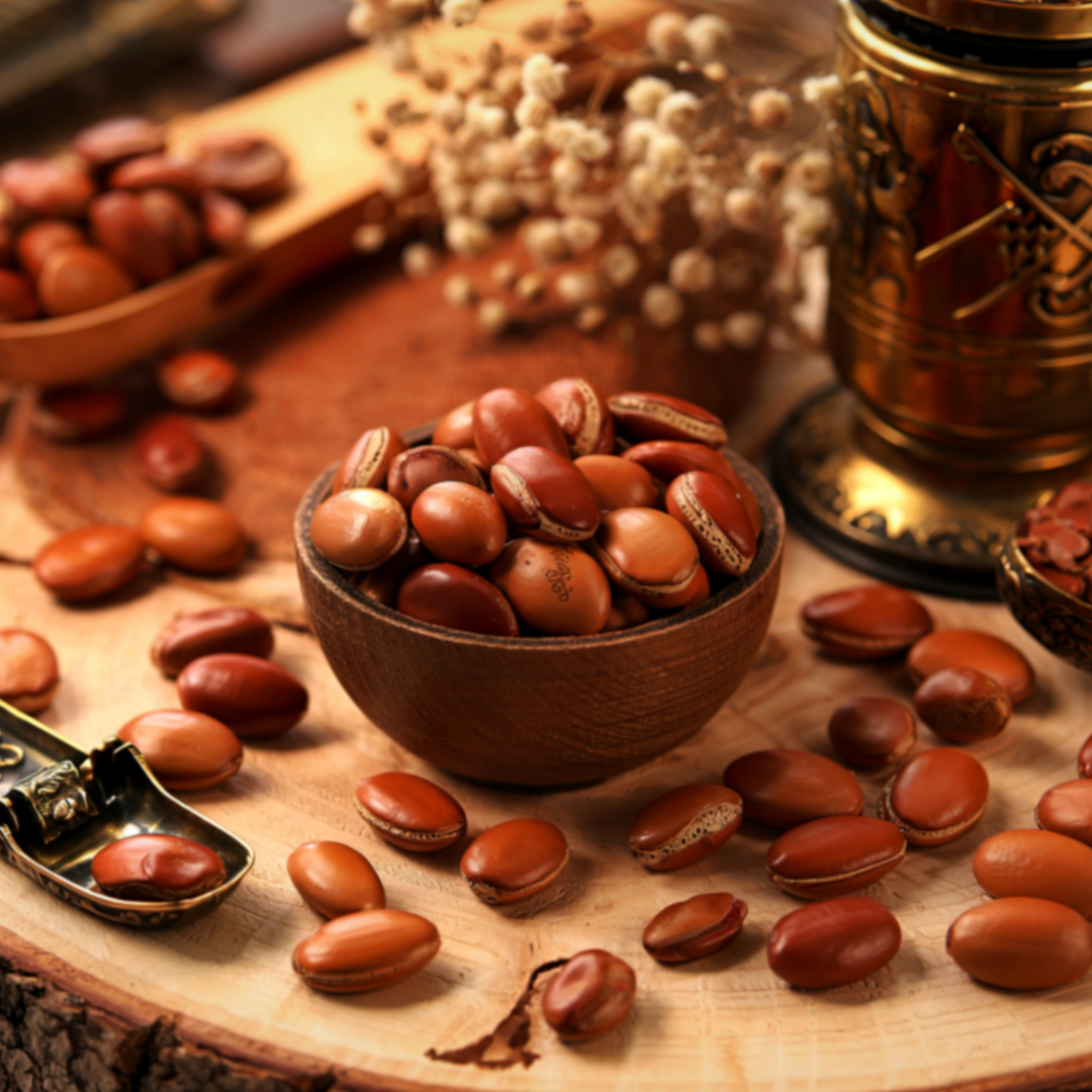 Bienfaits de l’huile d’argan : extraction traditionnelle au Maroc – Coopérative féminine – Cocoon d’Orient