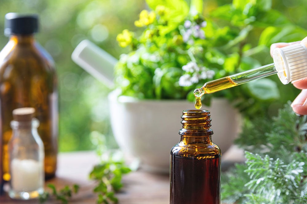 Thym frais brins aromatiques