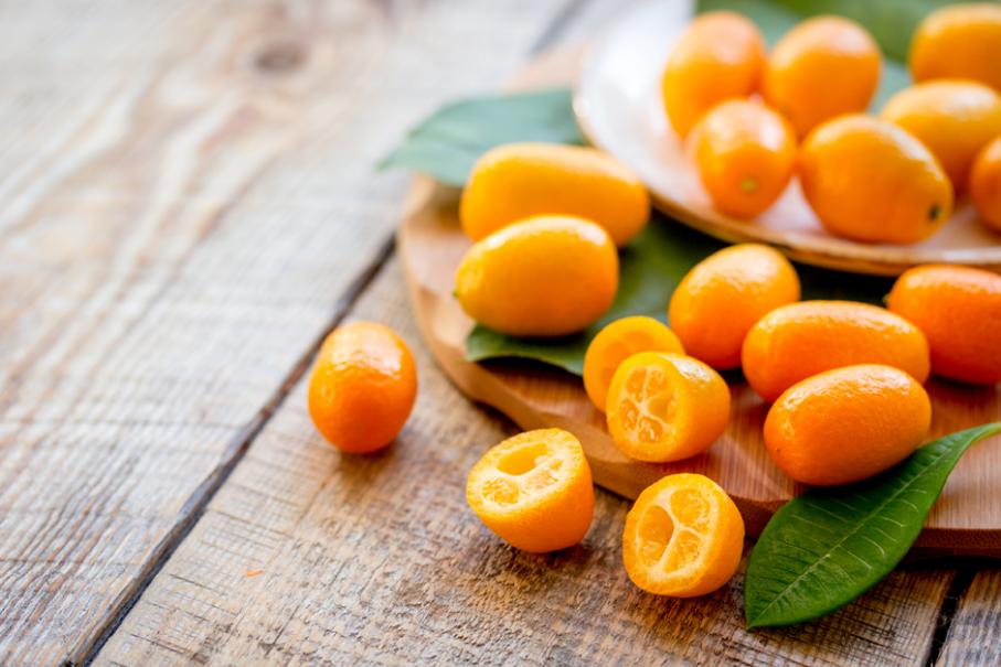 Citrus bienfaits cosmetique naturel Cocoon d'Orient