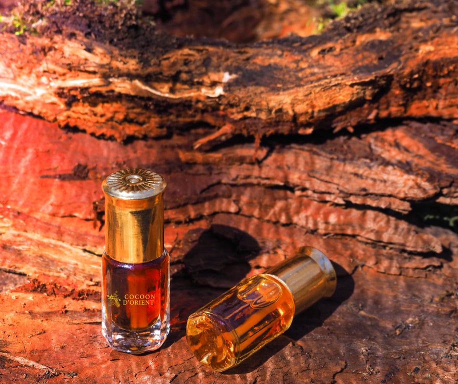 Huile parfumée au bois de santal dans l’univers cosmétique et sensoriel Cocoon d’Orient
