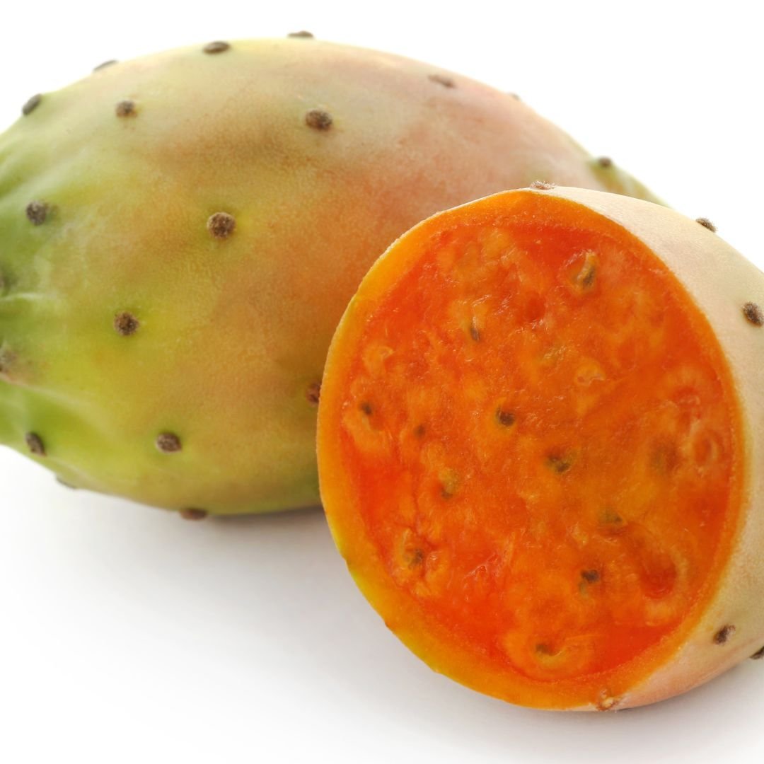 Huile de Figue de Barbarie – Pépins du cactus Opuntia – Cocoon d’Orient