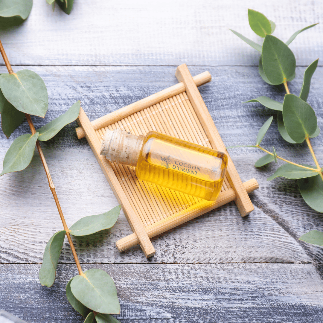 Eucalyptus du Maroc, fraîcheur végétale et pureté naturelle