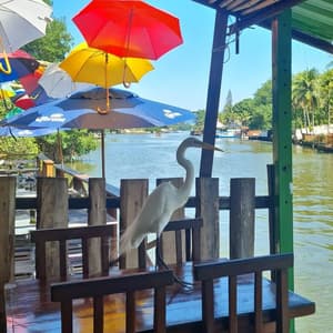 Cais bar ilha da gigoia - 1