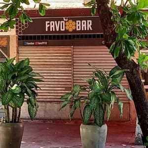 Favo bar - 3