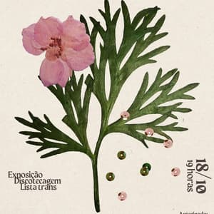 O Pecado Mora Ao Lado - Bar, Tabacaria, Blues,Jazz e boas músicas - 5