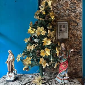 Cachaçaria Mangue Seco - 5