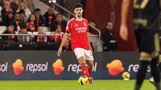 Tomás Araújo avec le maillot du Benfica