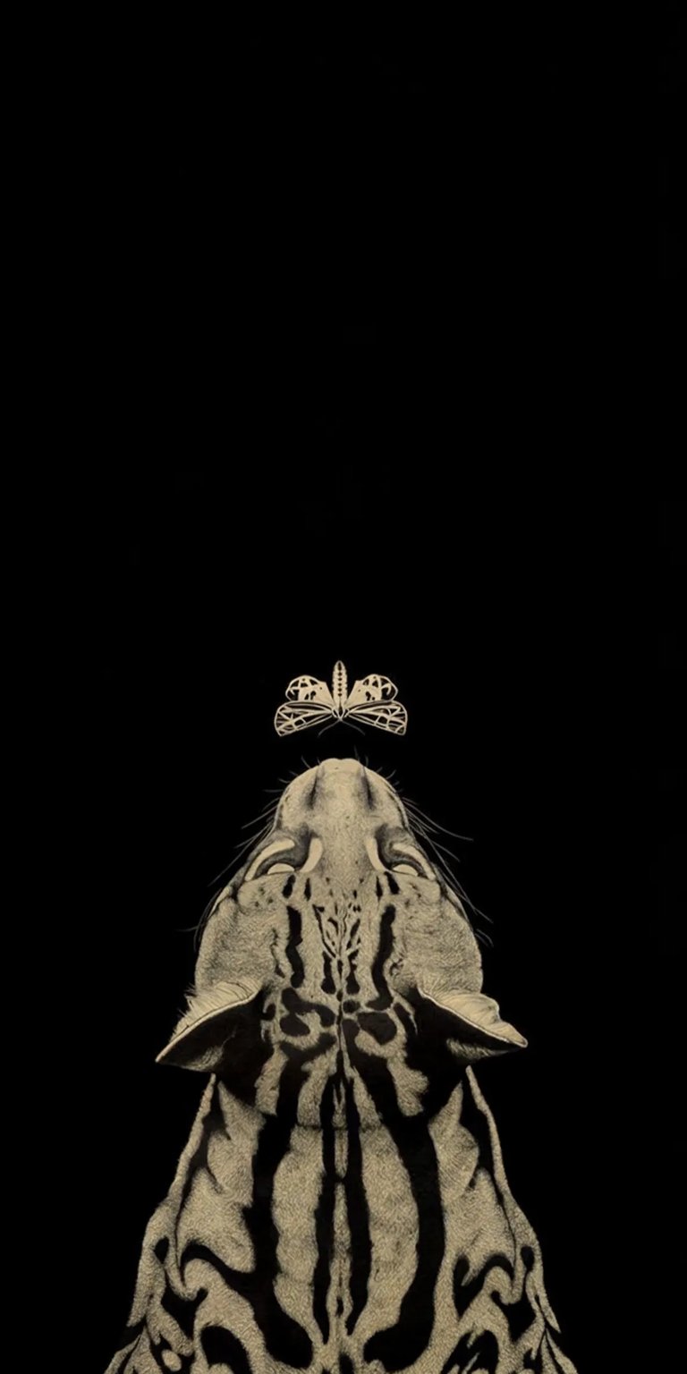 Dark cat art wallpaper for iPhone HD