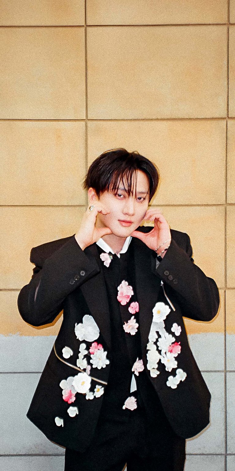 Changbin iPhone wallpaper HD