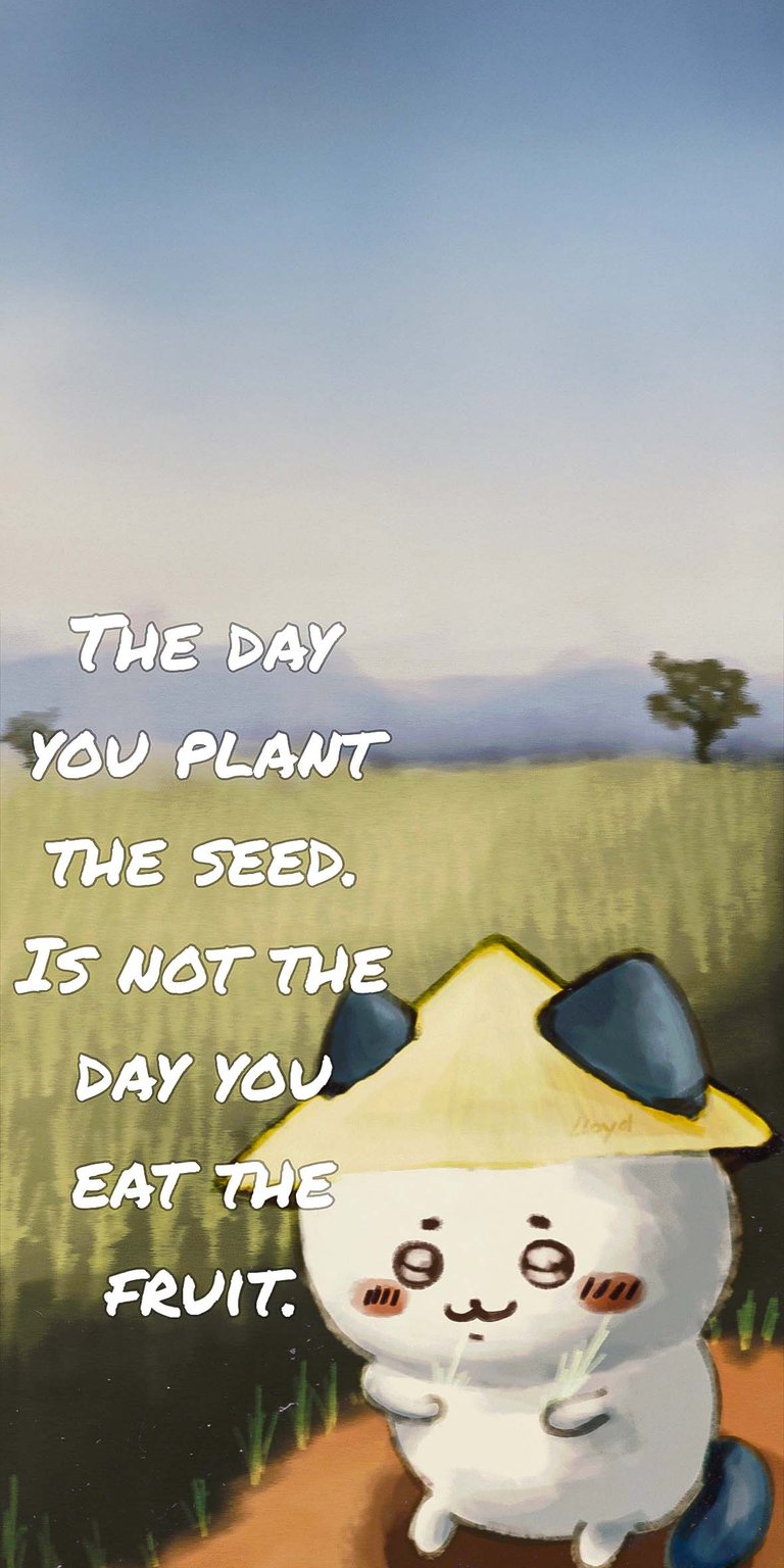 Quote panda lockscreen wallpaper iPhone