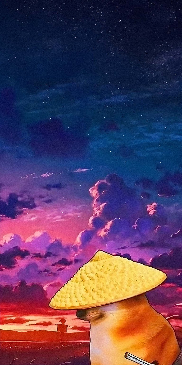 Doge Samurai Wallpaper for iPhone