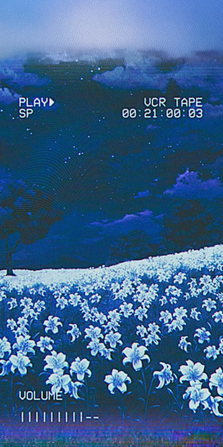 Video record wallpaper iPhone