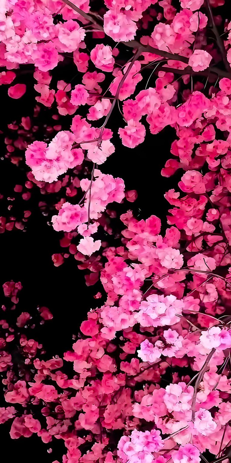 Dark cherry blossoms iOS 26 3D wallpaper 4K