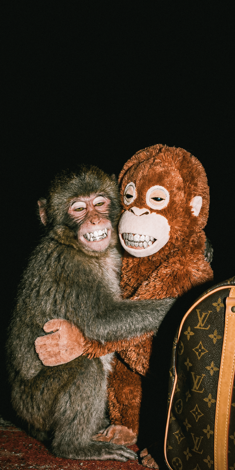 This Aesthetic wallpaper features a real monkey hugging a soft plush toy with a humorous expression. Enhance your iPhone with this unique static wallpaper featuring high-contrast dark tones and playful animal energy.