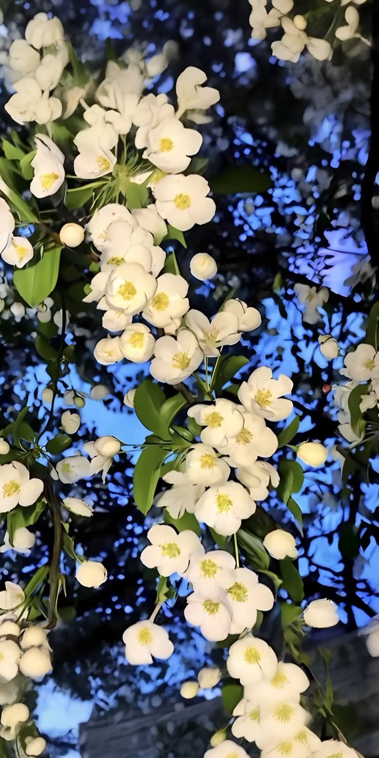 Nature depth effect iOS 26 wallpaper 4K