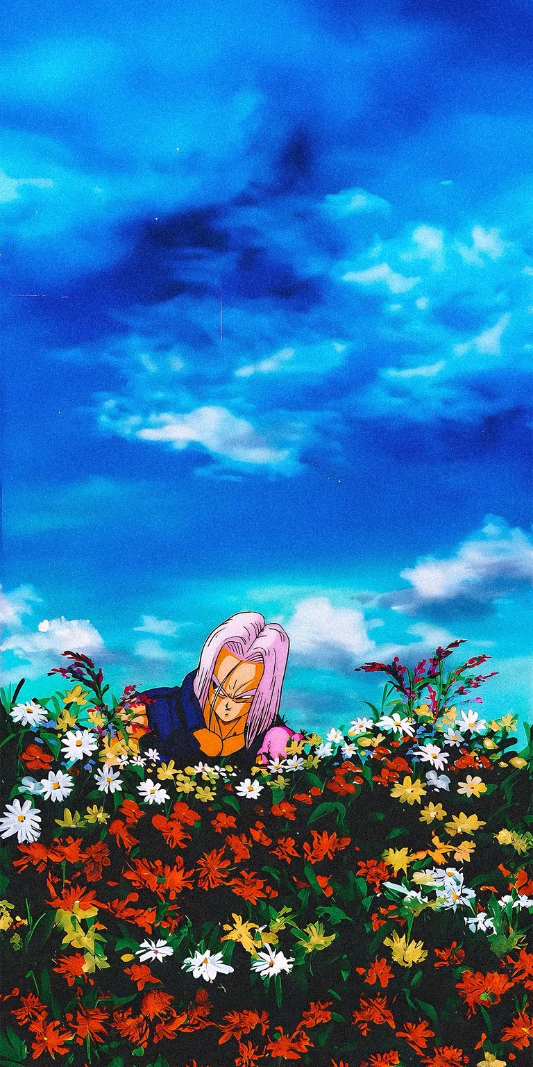 Trunks wallpaper iPhone
