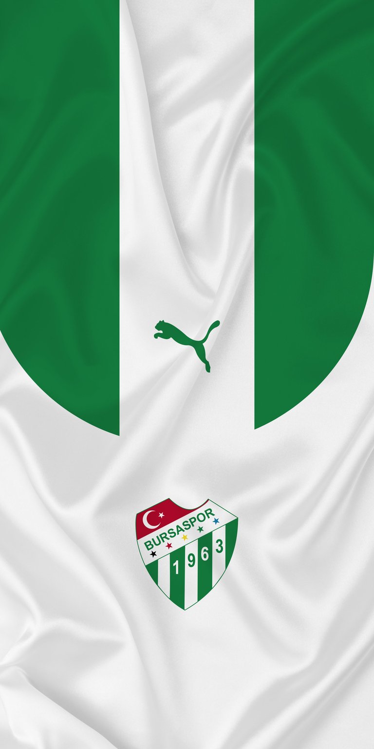 Bursaspor football team wallpaper
