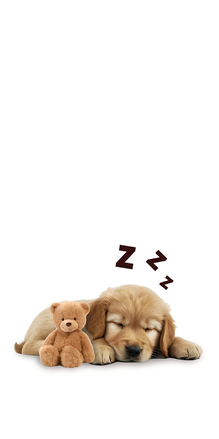 Dog sleeping with teddy bear wallpaper 4k iPhone