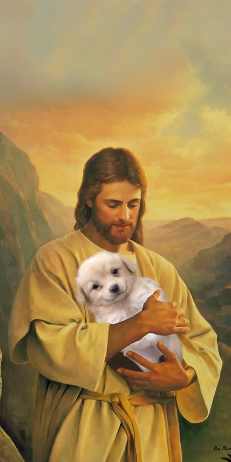 This 4K wallpaper features Jesus tenderly holding a fluffy white dog, perfect for your iPhone. The golden hues of his robe and the soft background mountains create a serene and comforting wallpaper.