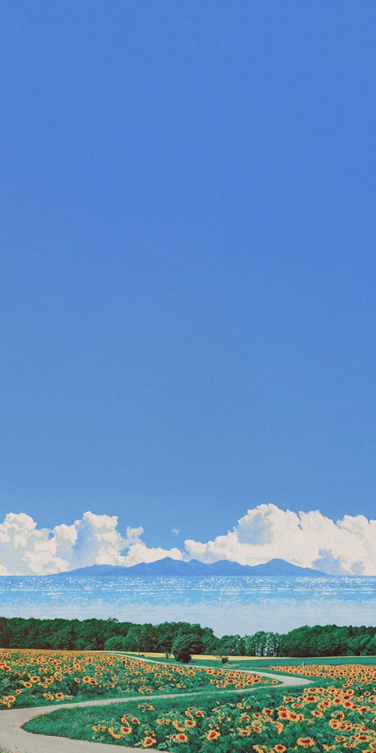 Road in the middle of sunflower farm wallpaper