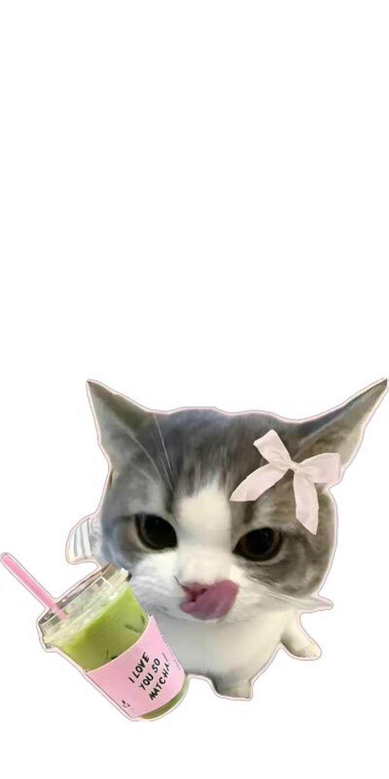 This cute cat matching 4K wallpaper is great for iPhones. The matching wallpaper displays a cat holding a matcha drink and strawberry, creating a fun split-screen wallpaper for 2 people.