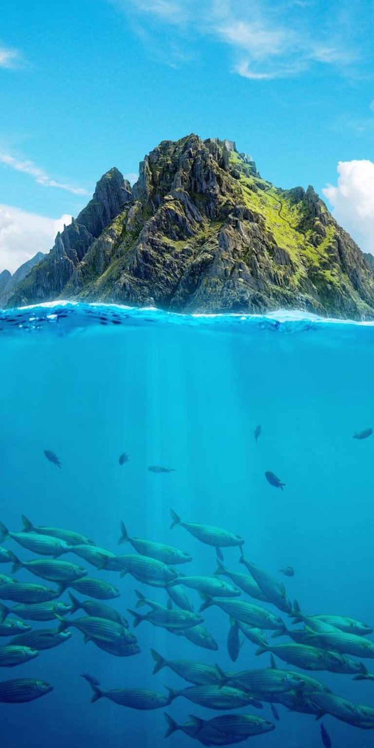 Fishes under the sea with rocky mountain at the back wallpaper