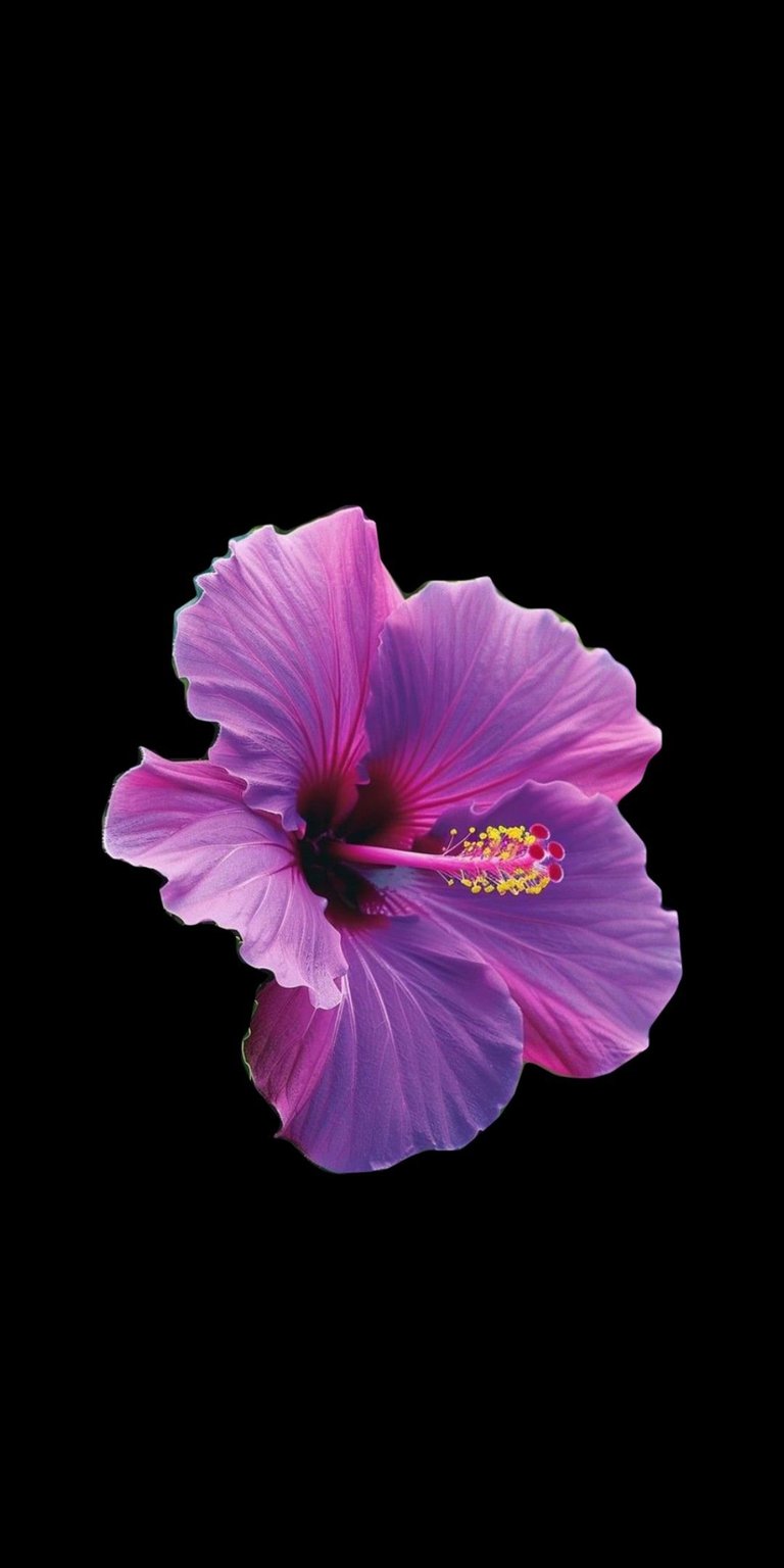 This stunning hibiscus 4K wallpaper is perfect for your iPhone, showcasing a single flower with vibrant, layered purple petals. The background is a stark black, putting full focus on the flower's detailed pistil.
