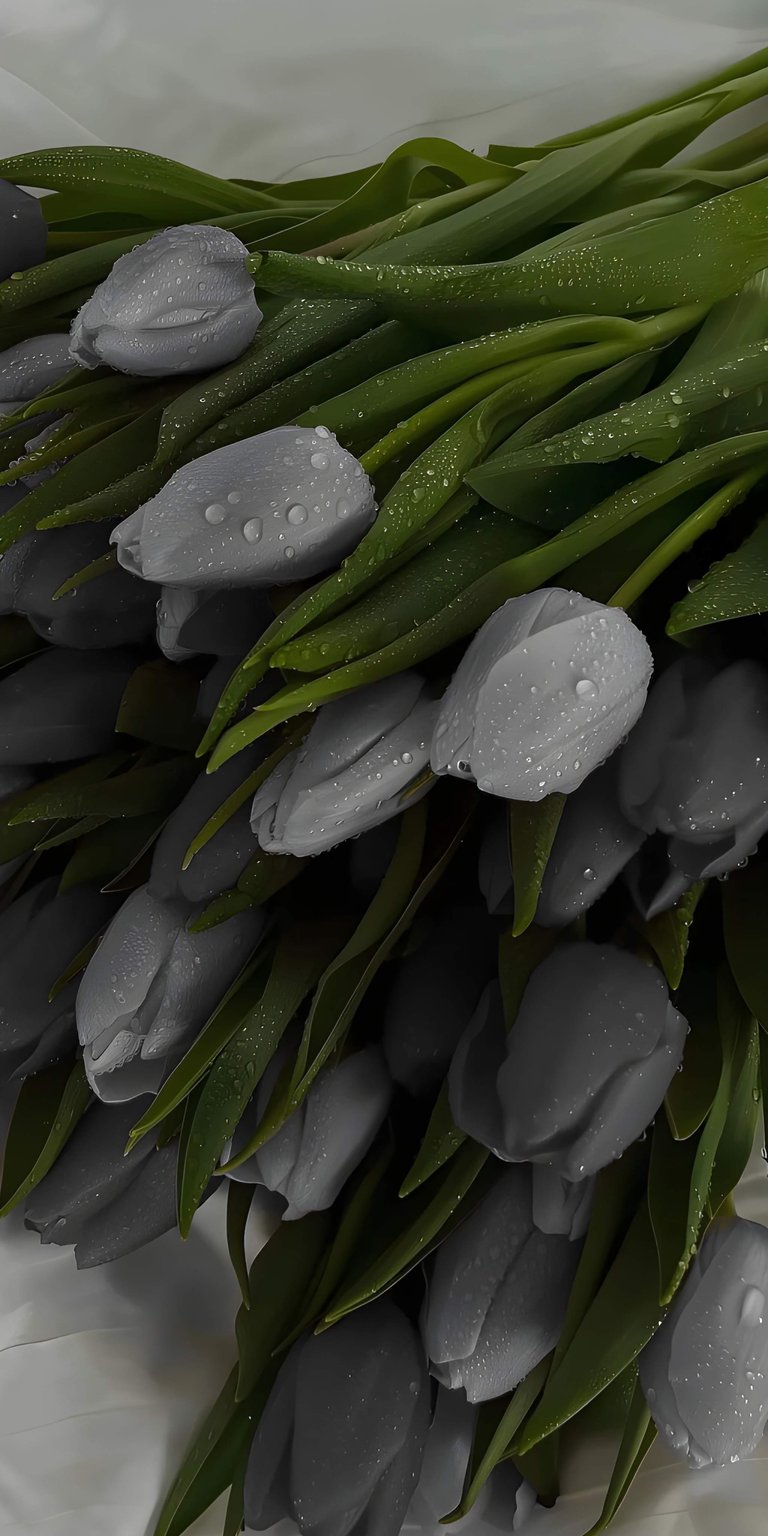 This aesthetic wallpaper for iPhone features a close-up of elegant grey tulips covered in delicate morning dew. The 4K wallpaper offers a moody, sophisticated atmosphere with deep green foliage and soft, natural textures.