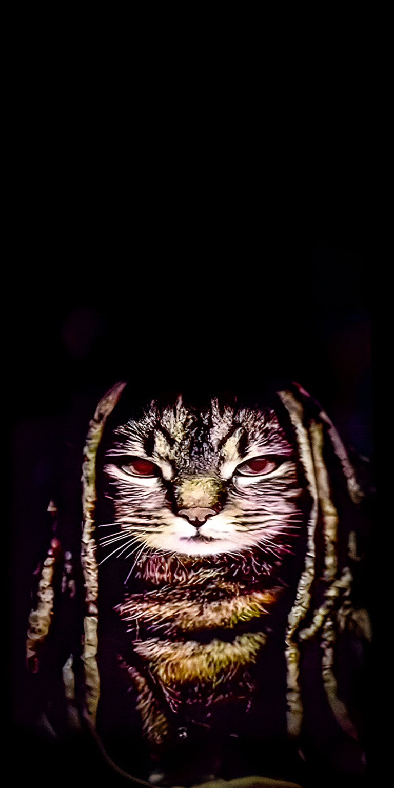 Cat king von inspired anti piracy screen wallpaper